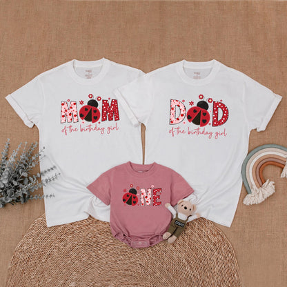 Ladybug Birthday Matching Family Shirts, Girl First Birthday Outfit, Mommy and Me Ladybug Theme, Farm Bug Birthday Party Clothes, Baby Girl Gift