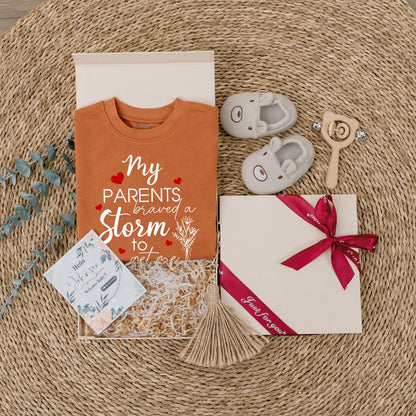 My Parents Braved a Storm Outfit, Rainbow Baby Bodysuit, IVF Gift, Floral Romper, Sentimental Newborn Gift Idea, Long Sleeve Baby Girl Boy Clothes