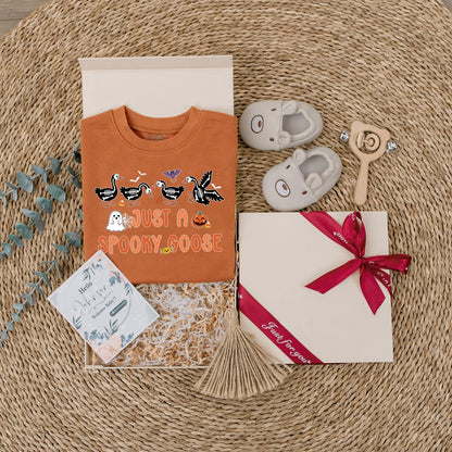 Spooky Goose Baby Halloween Sweatshirt: Cute Fall Toddler Pullover with Pumpkin, Ghost & Bats, Autumn Kids Outfit